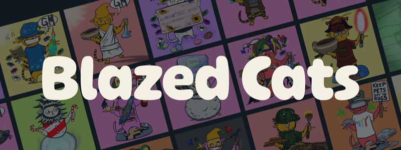 Blazed Cats